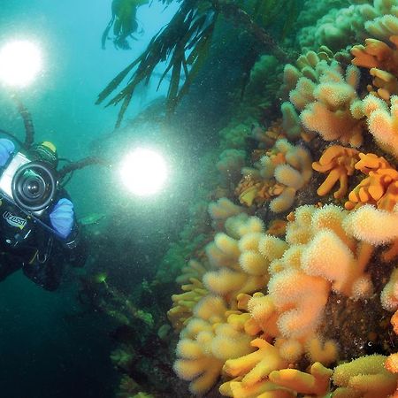 Gulen Dive Resort Dalsøyra 외부 사진